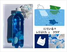 公益財団法人マリンスポーツ財団のプレスリリース画像4