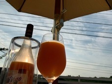 株式会社RepAkaiwaのプレスリリース画像1