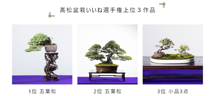 最大10万円分の特典 高松盆栽 Arteeイラストコンテスト開催 株式会社arteeのプレスリリース 最大10万円分の特典 高松盆栽 Arteeイラストコンテスト開催 株式会社arteeのプレスリリース
