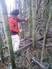 西野竹刀製作所のプレスリリース画像4