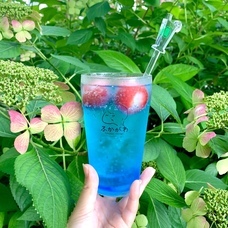 UPSTART TOKYO株式会社のプレスリリース画像2