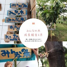 CAUチョコレートジャパン合同会社のプレスリリース画像1