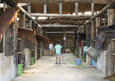 相馬野馬追執行委員会のプレスリリース画像1