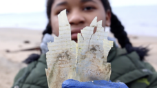 Cafeteria Cultureのプレスリリース画像2