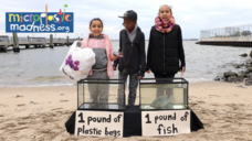 Cafeteria Cultureのプレスリリース画像1