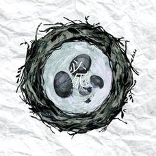 株式会社ottoのプレスリリース画像1