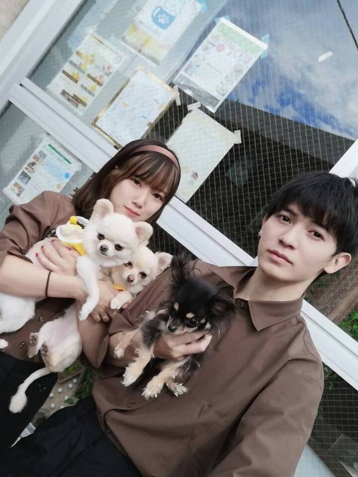 遂にopen 井の頭公園駅前わんすたcafe 酒場 わんすたcafe 酒場のプレスリリース 遂にopen 井の頭公園駅前わんすたcafe 酒場 わんすたcafe 酒場のプレスリリース