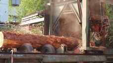 株式会社ダン計画研究所のプレスリリース画像4