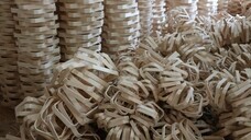 株式会社ダン計画研究所のプレスリリース画像2