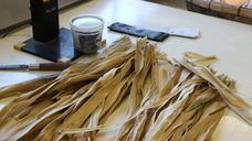 株式会社ダン計画研究所のプレスリリース画像4