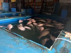 有限会社人仁のプレスリリース画像1