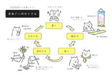 宮本株式会社のプレスリリース画像2