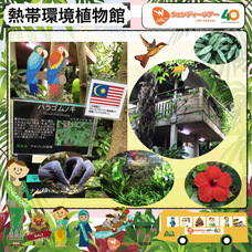 エス・エム・アイ・ホールディングス株式会社のプレスリリース画像3