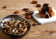 有限会社九南サービスのプレスリリース画像1