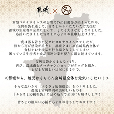 有限会社九南サービスのプレスリリース画像4