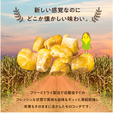 有限会社九南サービスのプレスリリース画像2