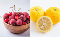 有限会社九南サービスのプレスリリース画像4