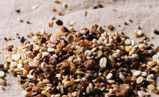 有限会社九南サービスのプレスリリース画像2