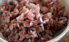 有限会社九南サービスのプレスリリース画像1