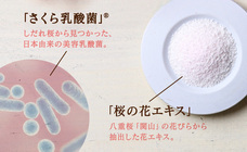 有限会社九南サービスのプレスリリース画像2