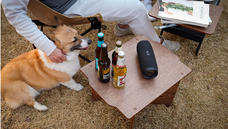 BJ Planning合同会社のプレスリリース画像3