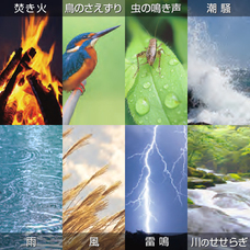 株式会社オーム電機のプレスリリース画像2