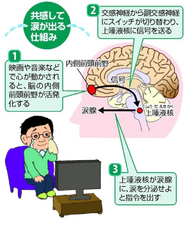 涙と旅カフェあかねのプレスリリース画像1