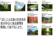 涙活事務局のプレスリリース画像6