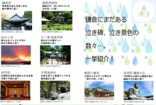涙活事務局のプレスリリース画像4