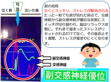 一般社団法人 涙活協会のプレスリリース画像5