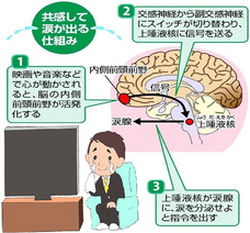 一般社団法人 涙活協会のプレスリリース画像2