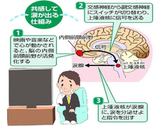 一般社団法人 涙活協会のプレスリリース画像2