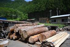 BISOWA VILLAGE株式会社のプレスリリース画像2