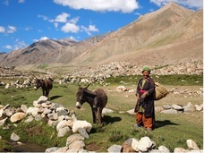 BISOWA VILLAGE株式会社のプレスリリース画像2