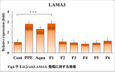 株式会社セプテム総研のプレスリリース画像5