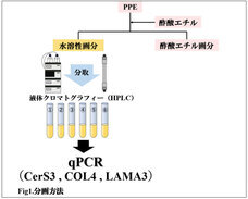 株式会社セプテム総研のプレスリリース画像2