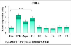 株式会社セプテム総研のプレスリリース画像4