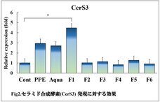 株式会社セプテム総研のプレスリリース画像3