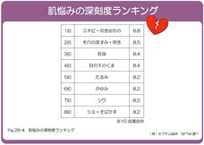 株式会社セプテム総研のプレスリリース画像7