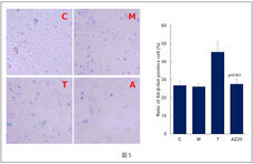 株式会社セプテム総研のプレスリリース画像5