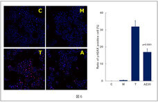 株式会社セプテム総研のプレスリリース画像6