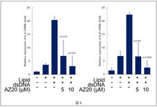 株式会社セプテム総研のプレスリリース画像4