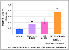 株式会社セプテム総研のプレスリリース画像5