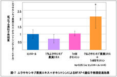 株式会社セプテム総研のプレスリリース画像6