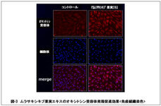 株式会社セプテム総研のプレスリリース画像4