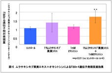 株式会社セプテム総研のプレスリリース画像7
