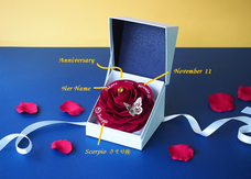 株式会社メリアルームのプレスリリース画像1