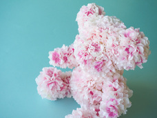 株式会社メリアルームのプレスリリース画像3