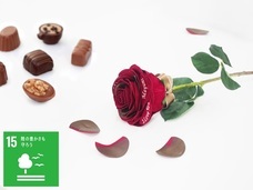 株式会社メリアルームのプレスリリース画像3