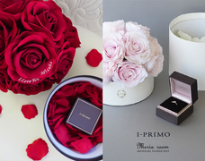 株式会社メリアルームのプレスリリース画像2